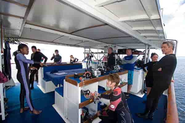 Thumbnail 7 Thumbnail 7