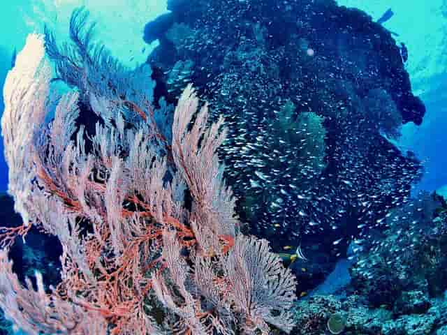 Thumbnail 2 Thumbnail 2