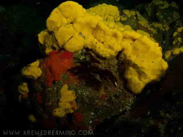 Thumbnail 1 Thumbnail 1