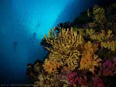 Thumbnail 2 Thumbnail 2