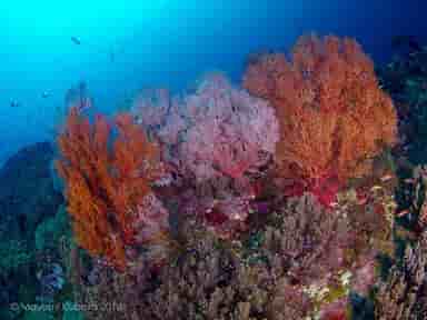 Thumbnail 3 Thumbnail 3