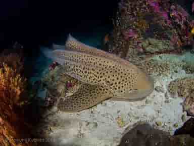 Thumbnail 6 Thumbnail 6