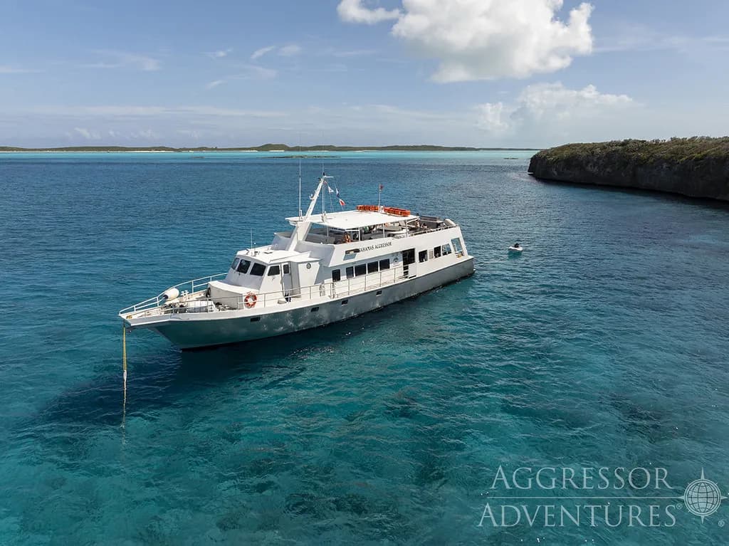 Bahamas Aggressor I - image Bahamas Aggressor I - image