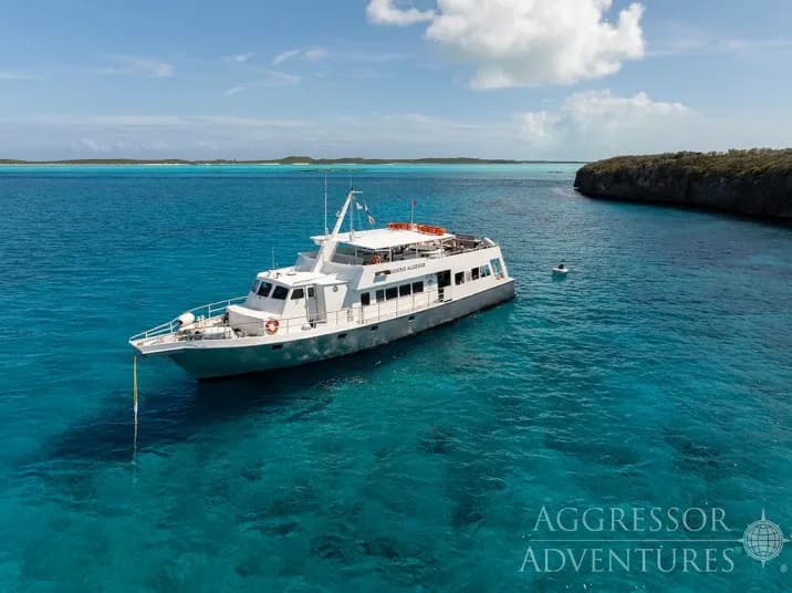 Bahamas Aggressor I - image Bahamas Aggressor I - image