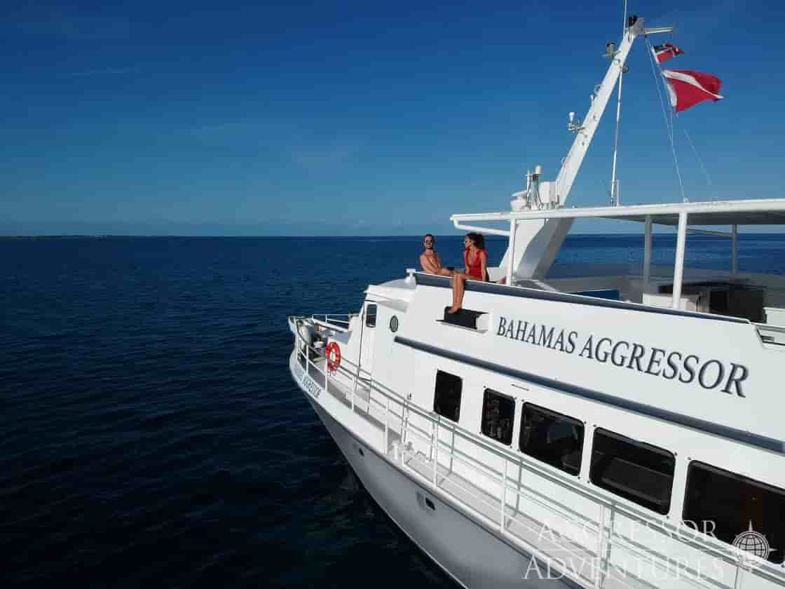 Thumbnail 8 Thumbnail 8