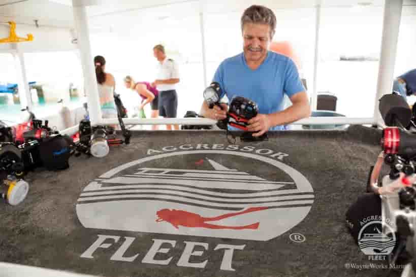 Thumbnail 10 Thumbnail 10