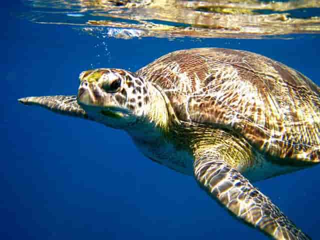 Thumbnail 2 Thumbnail 2