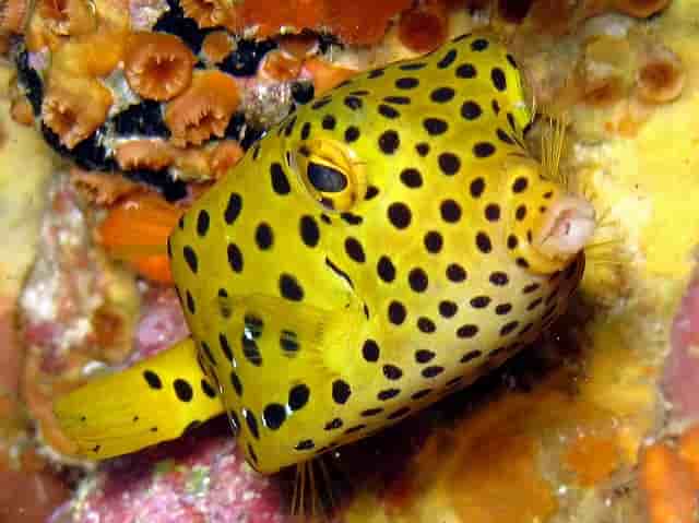 Thumbnail 5 Thumbnail 5