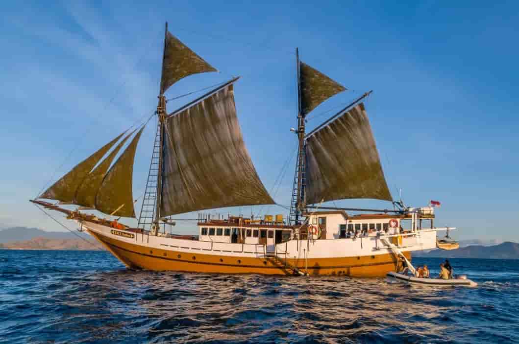 Thumbnail 1 Thumbnail 1