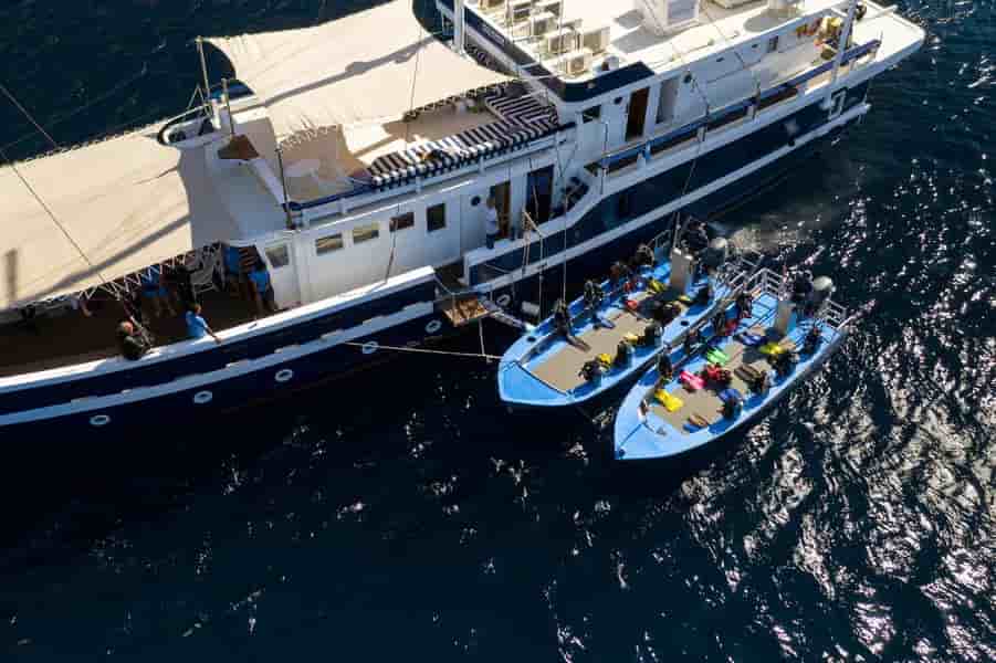 Thumbnail 13 Thumbnail 13