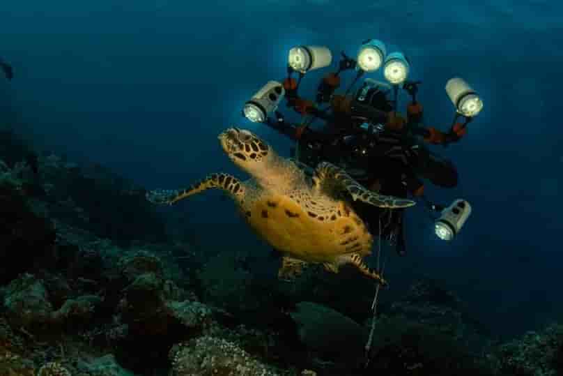 Thumbnail 4 Thumbnail 4