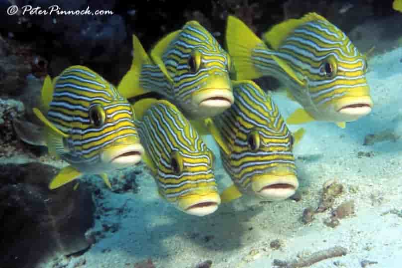 Thumbnail 5 Thumbnail 5