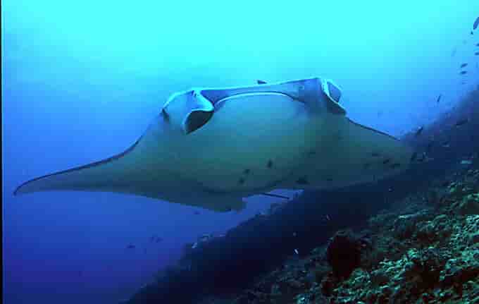 Thumbnail 7 Thumbnail 7