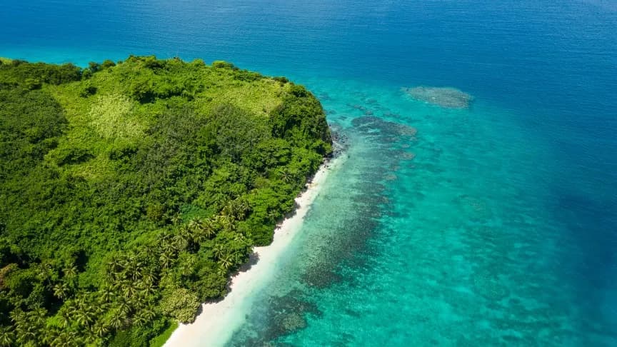 Aerial view of the Island Aerial view of the Island
