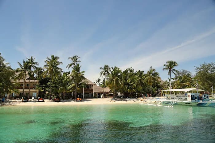 Ocean Vida Malapascua.jpg Ocean Vida Malapascua.jpg