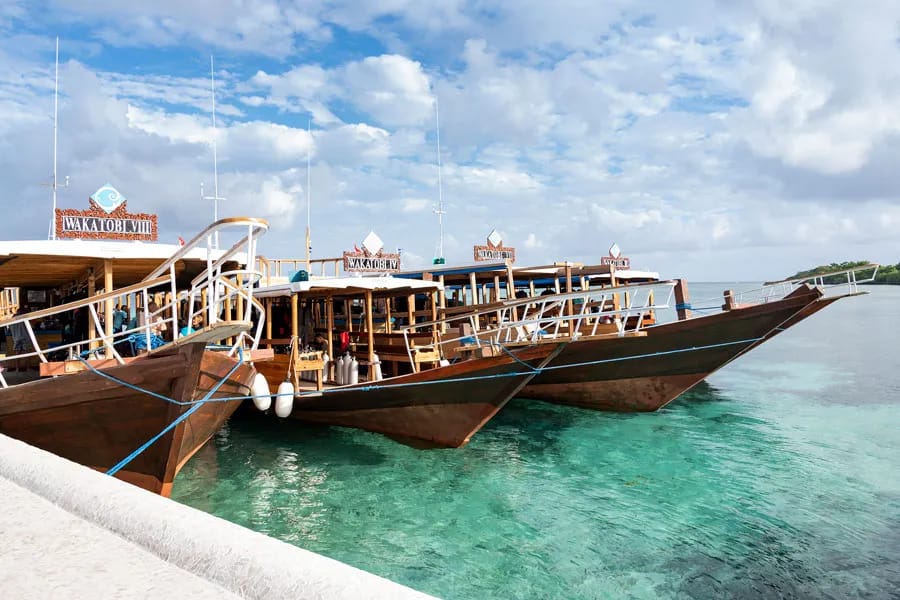 Wakatobi Dive Resort - image Wakatobi Dive Resort - image