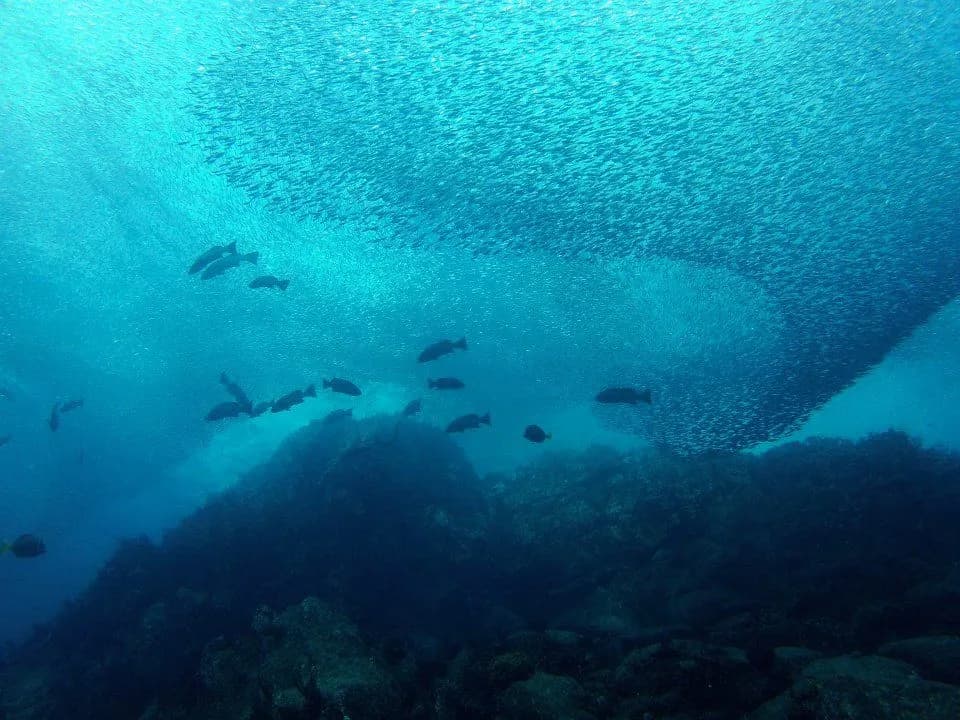 Cabo San Lucas Cabo San Lucas