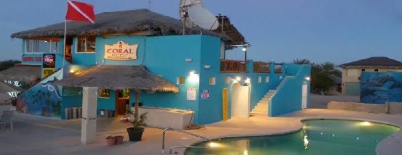 Cabo Pulmo Dive Center Cabo Pulmo Dive Center