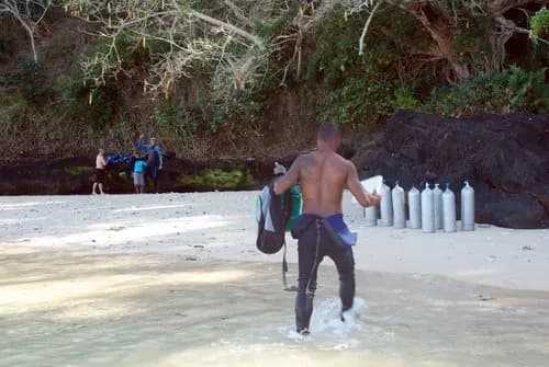 tdr-dive-5.jpg tdr-dive-5.jpg