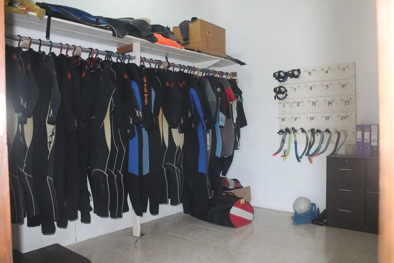 Two Fish Divers' Dive Resort Nusa Lembongan - image Two Fish Divers' Dive Resort Nusa Lembongan - image