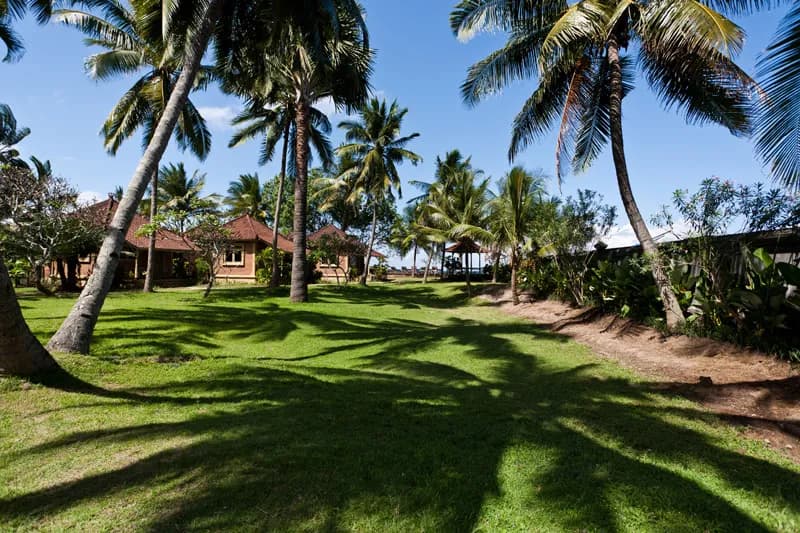 The gardens of the resort The gardens of the resort