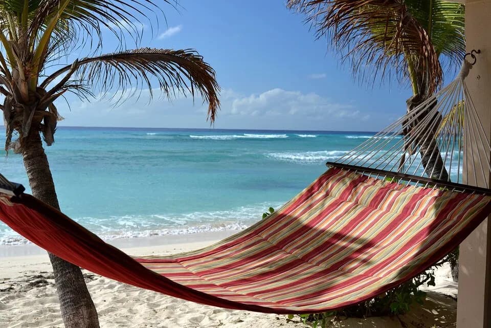 BDR-13.jpg BDR-13.jpg