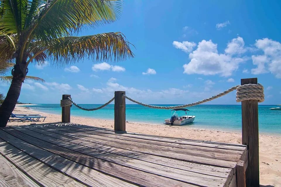 BDR-14.jpg BDR-14.jpg