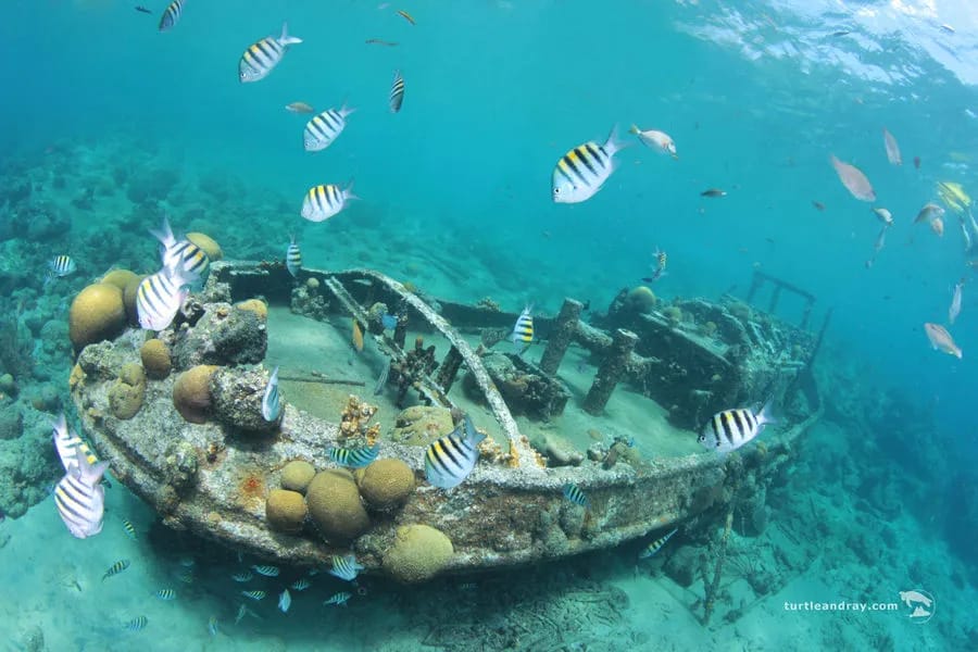 Scuba Lodge & Ocean Suites; Curacao - image Scuba Lodge & Ocean Suites; Curacao - image