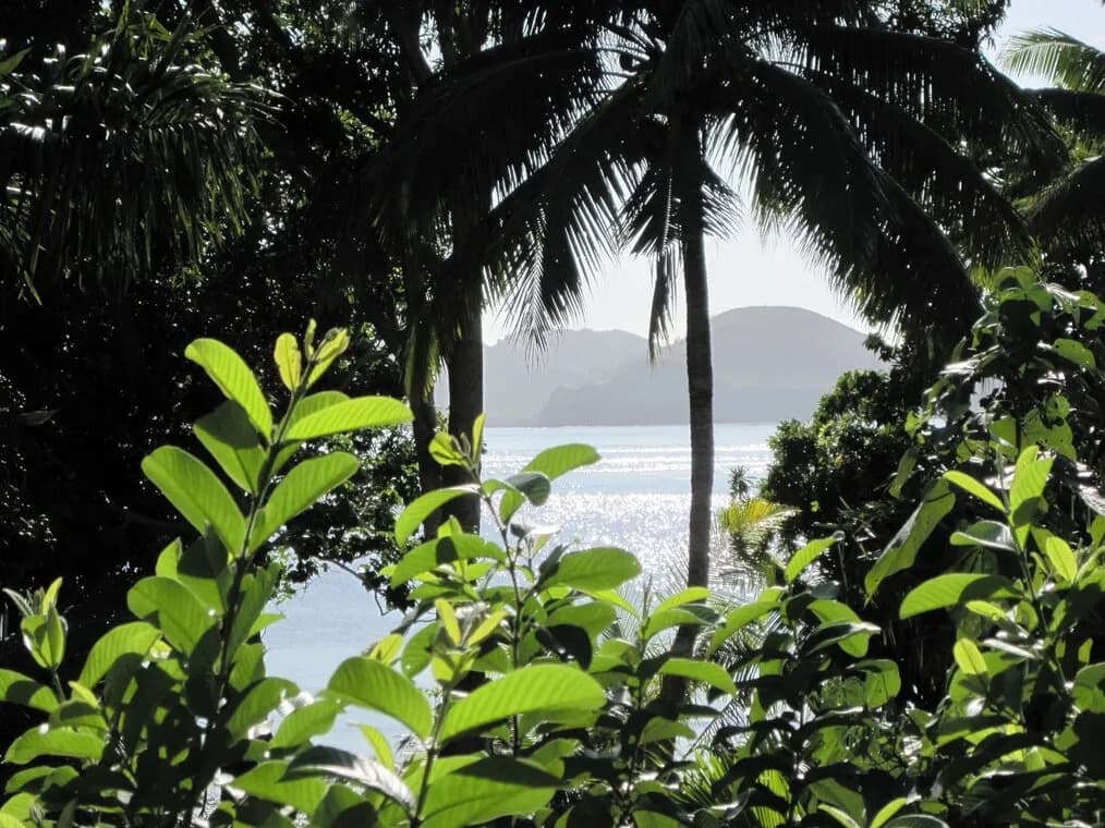 tiliva-resort-9.JPG tiliva-resort-9.JPG