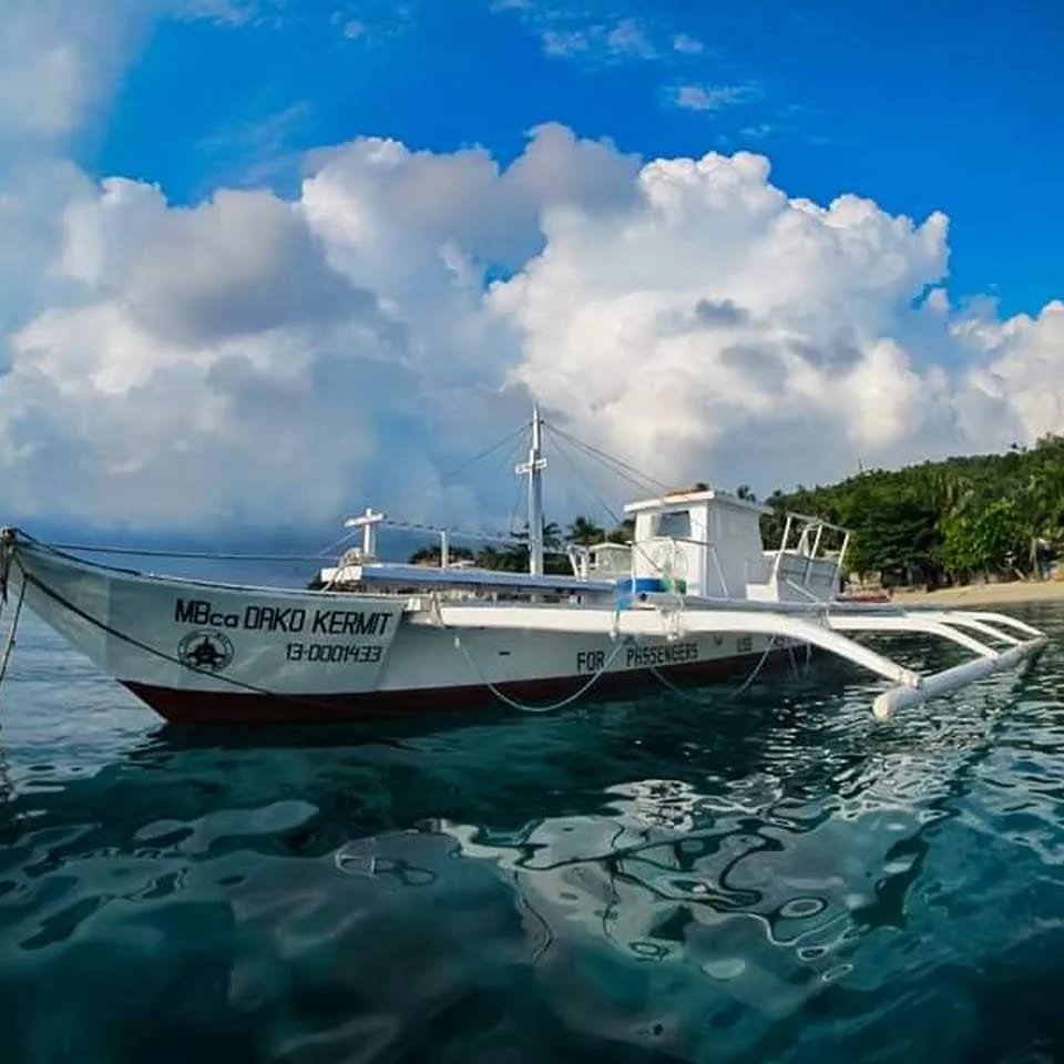 Sogod Bay Scuba Resort - image Sogod Bay Scuba Resort - image