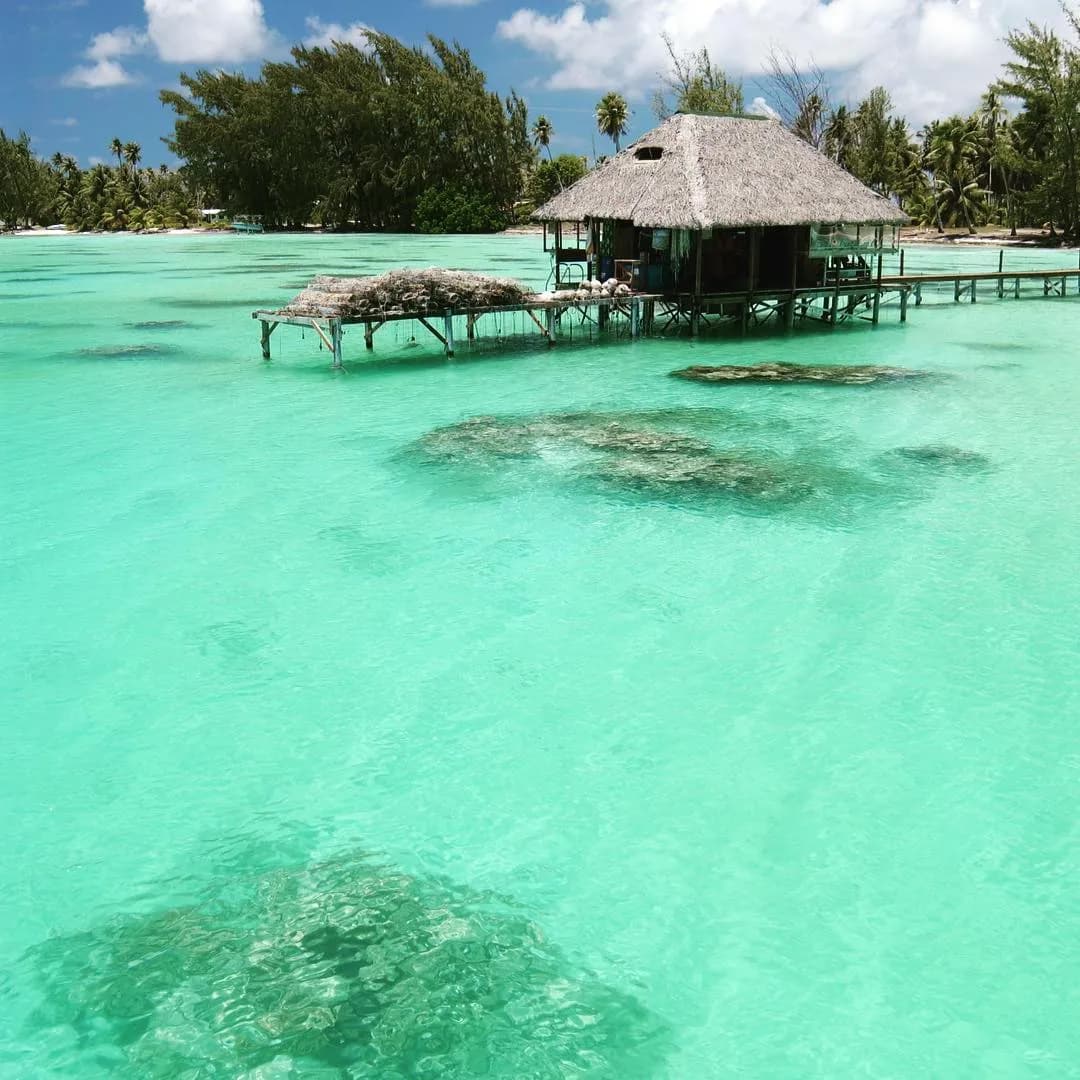 A cabana over the water at Havaiki Lodge in Fakarava. A cabana over the water at Havaiki Lodge in Fakarava.
