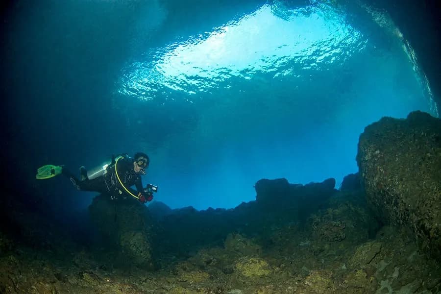 Spice Island Divers Ambon Spice Island Divers Ambon