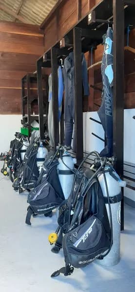 Triton Bay Divers Triton Bay Divers