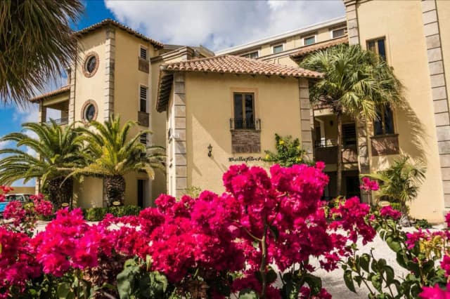 The Bellafonte The Bellafonte