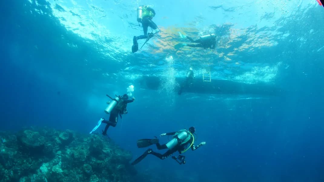 Guests dive in the water Guests dive in the water