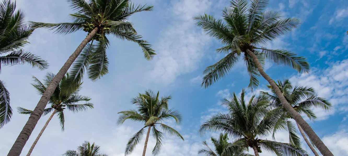 Koh Tao Coral Grand Resort Koh Tao Coral Grand Resort