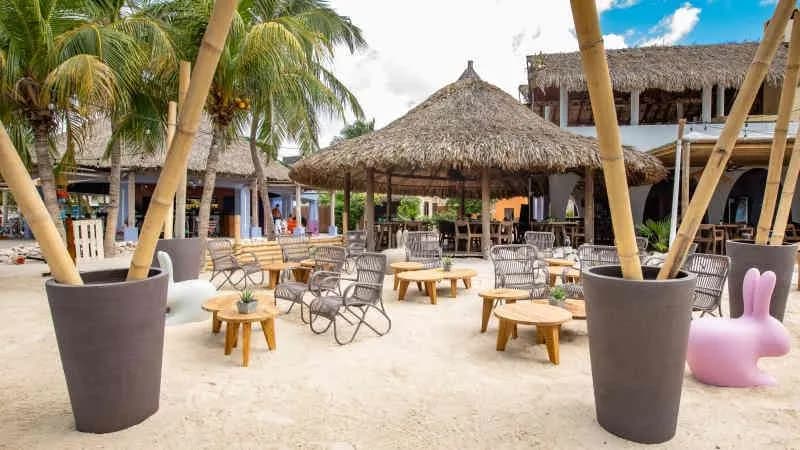 Outdoor dining area Outdoor dining area