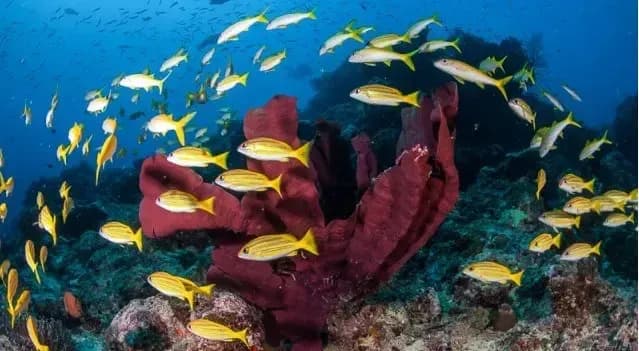 No alternative text provided No alternative text provided