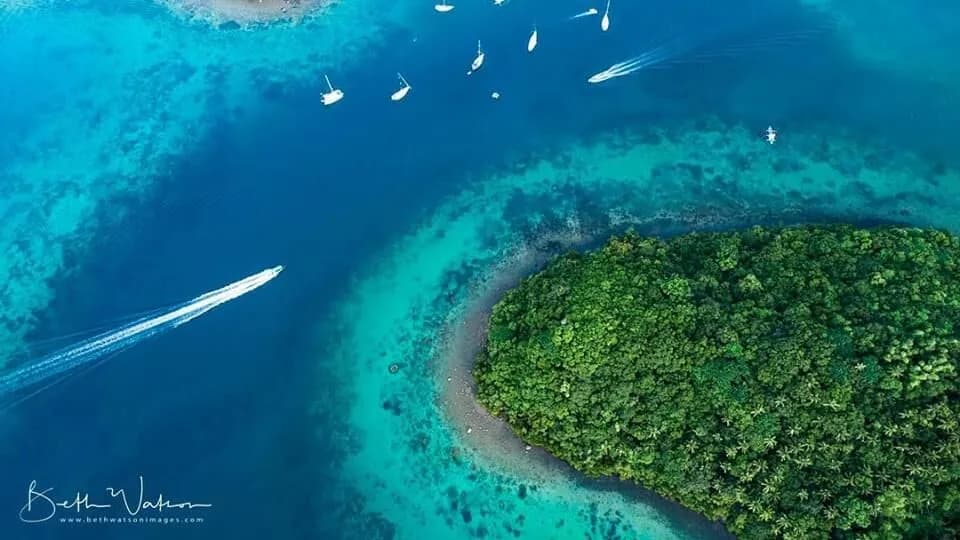 Aerial view of boats and an island