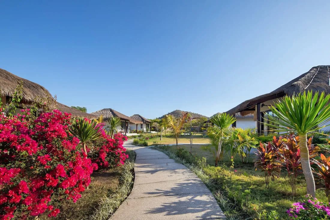 Gardens along the pathway to the rooms at Mocean Dive Resort Gardens along the pathway to the rooms at Mocean Dive Resort