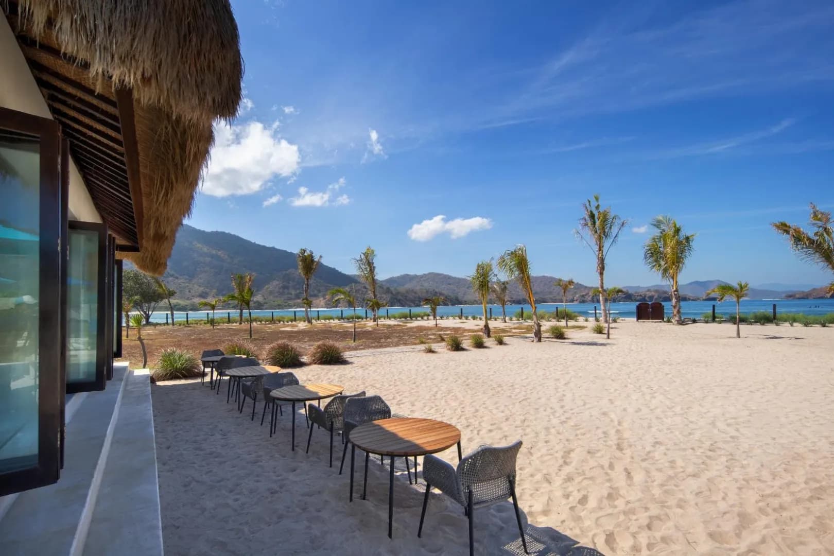 Mocean Beach Resort Mocean Beach Resort