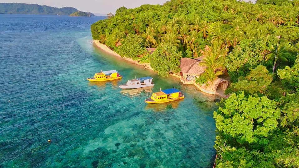 Dive boats Dive boats