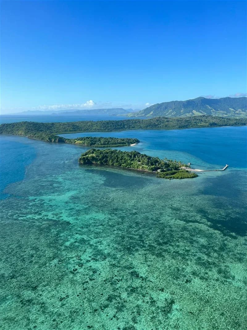 Dolphin Island Fiji - image Dolphin Island Fiji - image