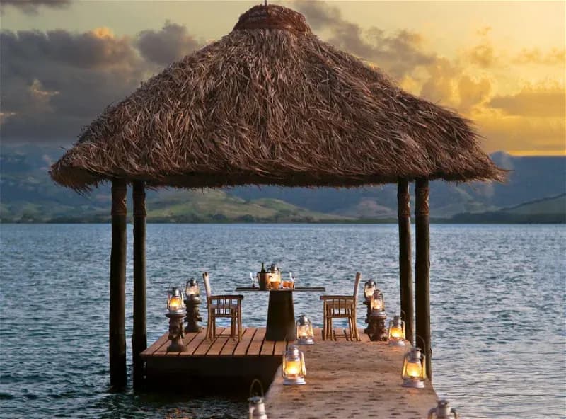 Dolphin Island Fiji Dolphin Island Fiji