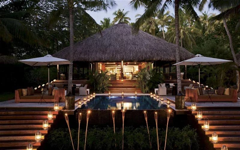 Dolphin Island Fiji Dolphin Island Fiji