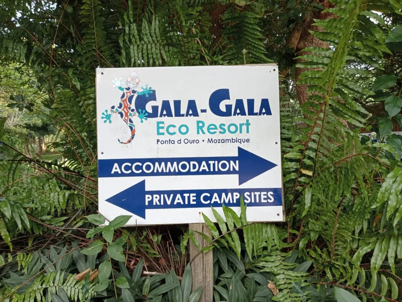 Gala-Gala Eco Resort Gala-Gala Eco Resort