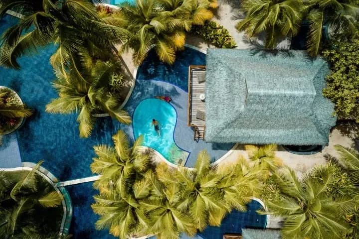 Nannai Muro Alto Nannai Muro Alto