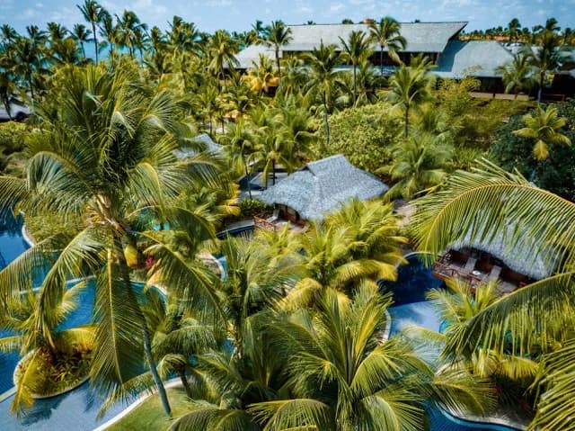 Nannai Muro Alto Nannai Muro Alto