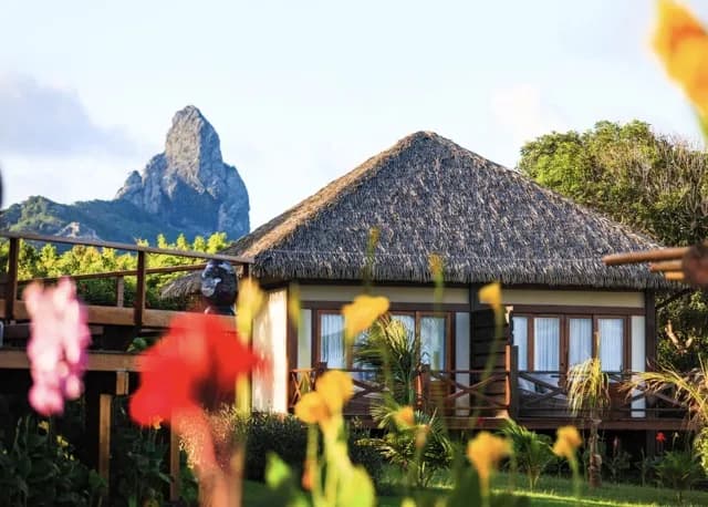 Nannai Noronha Nannai Noronha