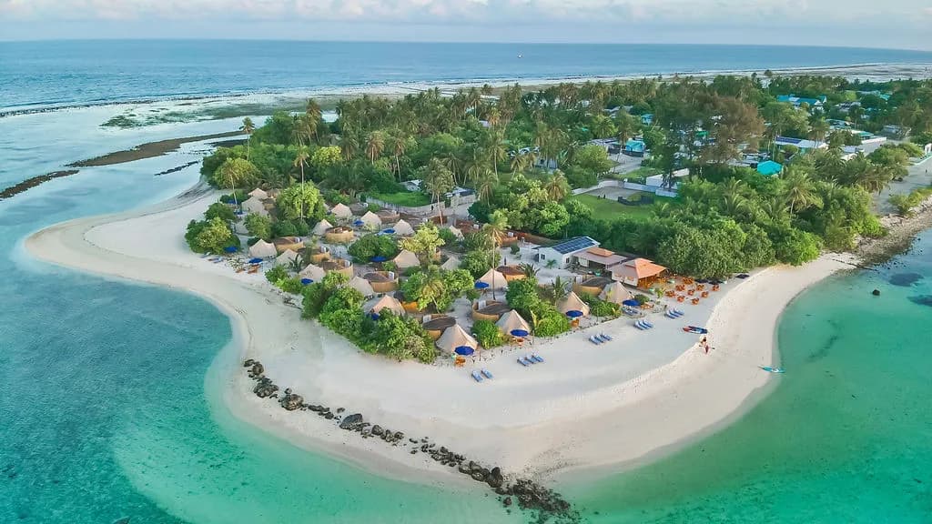 Maverick Surf and Dive Resort Maldives Maverick Surf and Dive Resort Maldives